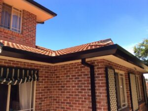 What are the best types of gutters for Sydney homes?