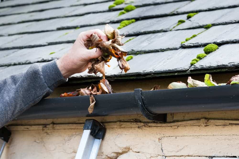 Cleaning roof gutter — Gutter Systems in Sydney, NSW