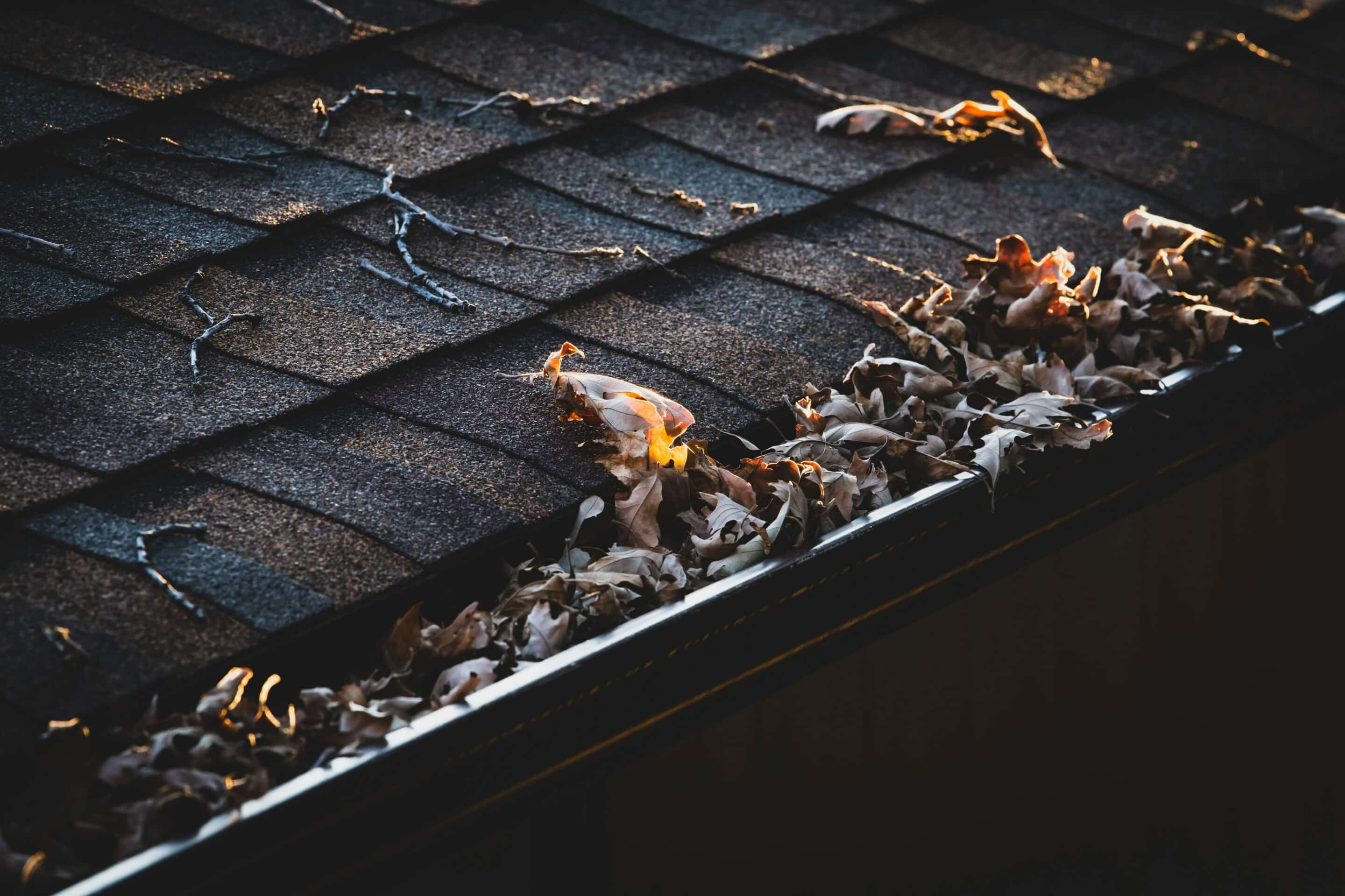 jon-sailer-fYwPrfAQcMo-unsplash